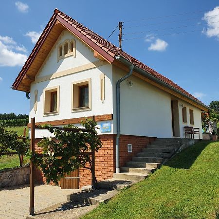 Villa Kellerstöckl Weinberg Eisenberg an der Pinka Exterior foto