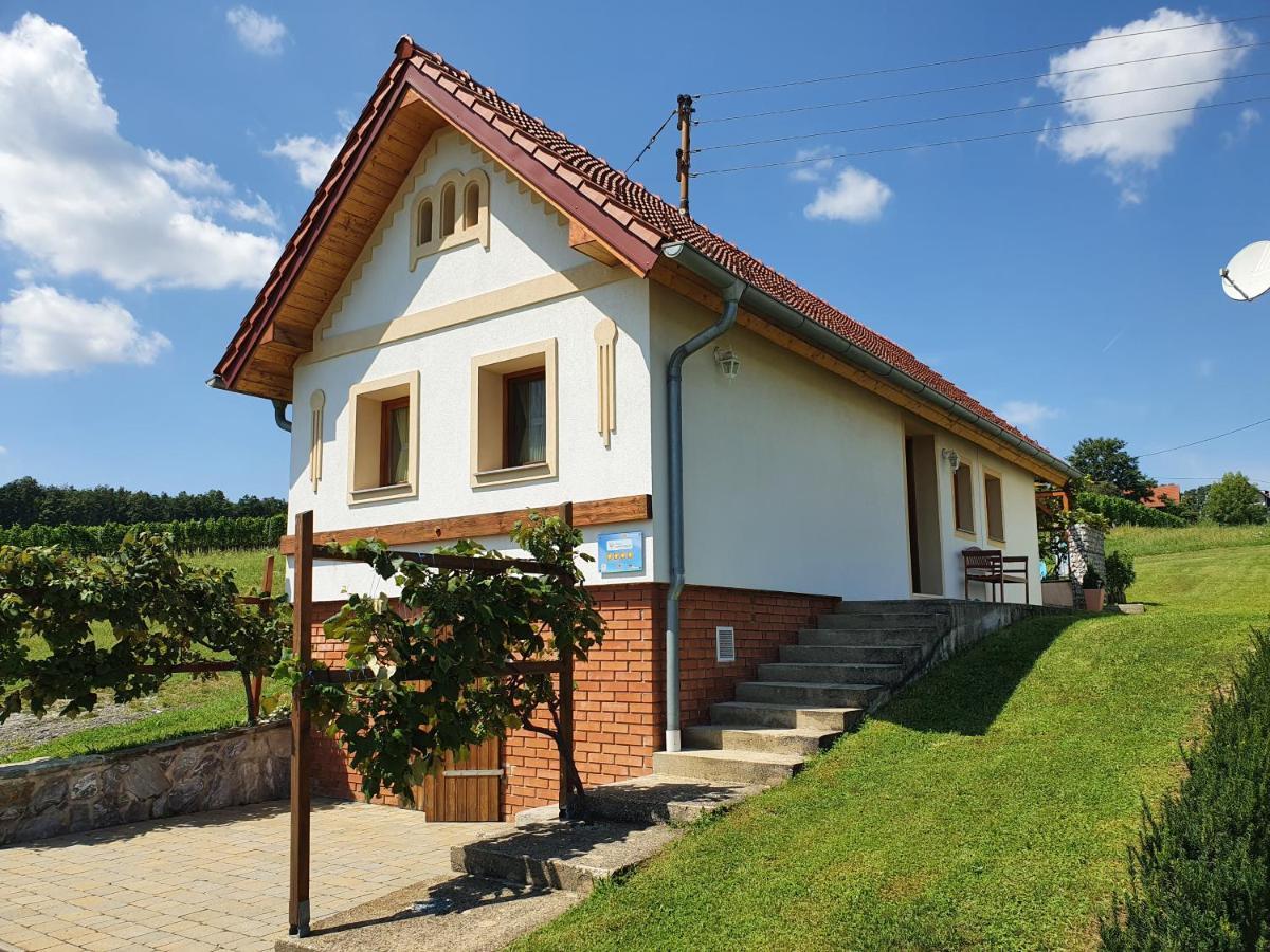 Villa Kellerstöckl Weinberg Eisenberg an der Pinka Exterior foto