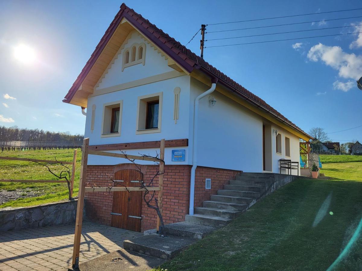 Villa Kellerstöckl Weinberg Eisenberg an der Pinka Exterior foto